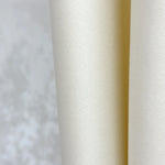 Soft Panel Curtains for Modern Living Room in Cream Color