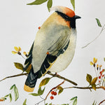 fabric for Curtains with Cute Watercolor Birds Pattern