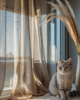 Scratch Resistant, Anti Claw Cat Proof Sheer Curtains, Beige Pet Friendly Custom Tulle 