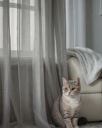 Scratch Resistant, Anti Claw Cat Proof Sheer Curtains, Gray Pet Friendly Custom Tulle 