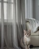 Scratch Resistant, Anti Claw Cat Proof Sheer Curtains, Gray Pet Friendly Custom Tulle 